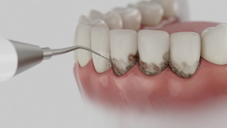 Reliable Dental contractor in St. Petersburg, FL by Dentist Open Now